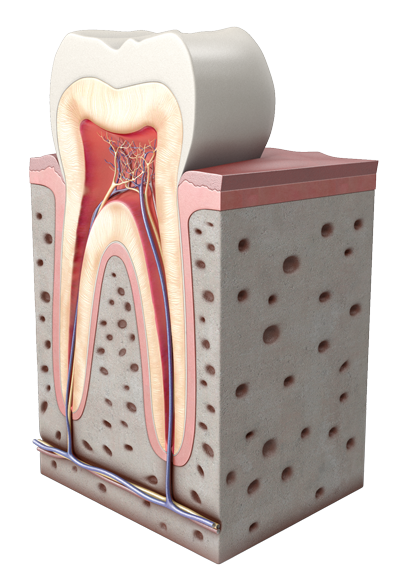 Periodoncia Aspe